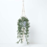 Homescapes Artificial Hanging Basket Green Rhipsalis Plant, 116 cm - Green