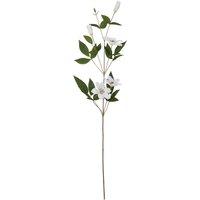 Nature Inspired White Florida Clematis - White