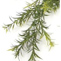 Artificial Hanging Plants Fire Resistant UV Resistant - 78cm Spider Fern / 10cm / 78cm