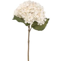 Balmoral Silk Hydrangea Stem 45cm - Cream
