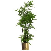 Artificial Natural Extra Large Fern Foliage Plant Gold Metal Planter - Green