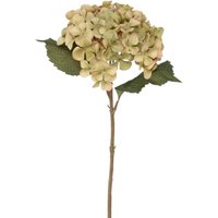 Balmoral Silk Hydrangea Stem 45cm - Green