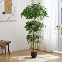 Decorative Artificial Zamioculcas Tree with Pot - Green