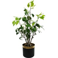Artificial Bonsai Tree in Display Pot - Banyan Bonsai / 30cm