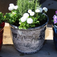 Ardente Planter 33cm - Deep Ruby Red