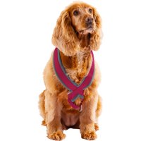 Padded Harness - Pink / Large
