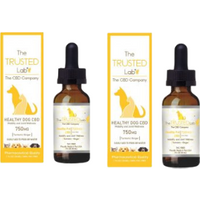 Healthy Dog CBD - Mobility and Joint Wellness 750mg (30ml)