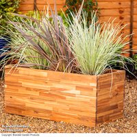 Garden Gear - Acacia Large Rectangle Planter