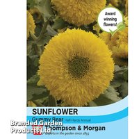 Sunflower Gummy Bear - Seeds