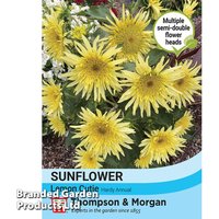 Sunflower Lemon Cutie F1 - Seeds