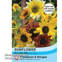 Sunflower Beaches Mix - Seeds