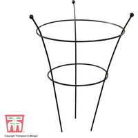 Garden Gear - Peony and Herbaceous Plant Frame