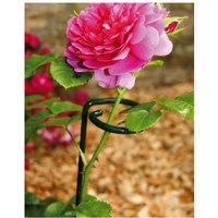 Large Single Stem Support Bare Metal/Ready to Rust (Pack of 4) - Steel - L5 x W5 x H90 cm