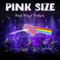 Pink Size - Pink Floyd Tribute