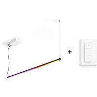 Philips Hue Set - Gradient Signe Pendant Hängeleuchte + Dimmschalter