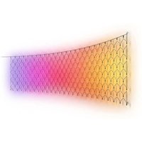 Philips Hue Festavia Netz-Lichterkette - außen, 200 lm - Schwarz