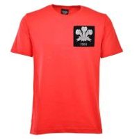 Click to view product details and reviews for Wales Feathers 1905 Red T Shirt. Click to view product details and reviews for Wales Feathers 1905 Red T Shirt.