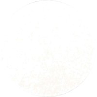 Polisher Felt Pad 125mm