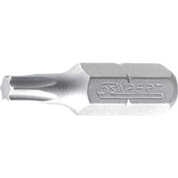 Torx Screwdriver Bit