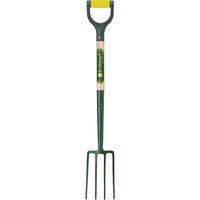 Evergreen Border Fork