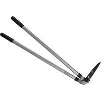 Evergreen Lawn Edging Shears
