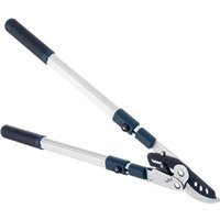 Evergreen Extendable Bypass Loppers