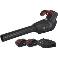 Sealey CP40VB Twin 20v Cordless Leaf Blower 2 x 4ah Li-ion Battery Charger Sealey CP40VB Twin 20v Cordless Leaf Blower 2 x 4ah Li-ion Battery Charger