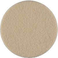 Polisher Felt Pad