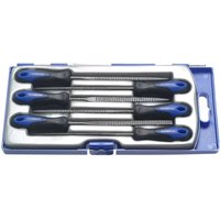 6 Piece Needle Rasp Set