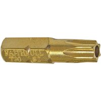 Security Torx Bits