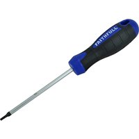 Torx Screwdriver