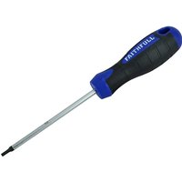 Torx Screwdriver T15 100mm