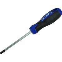 Torx Screwdriver T30 100mm