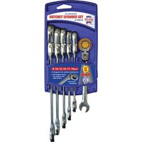 6 Piece Flexible Ratchet Combination Spanner Set