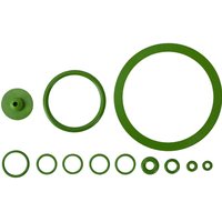 Replacement Viton Seals FAISPRAY8HD