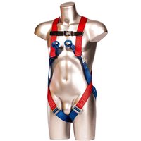2 Point Safety Harness