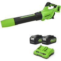 BL48L 48v Cordless Garden Leaf Blower