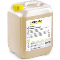 RM 767 CarpetPro Quick Drying Carpet Cleaner