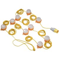 10 LED Festoon Lights on 22 Metre Cable