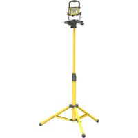 Single Site Light on Tripod 110v