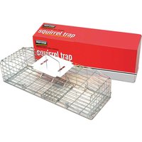 Squirrel Trap