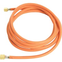 Gas Hose Assembly 2m