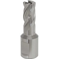 Sealey Rotabor Weldon Shank HSS Mag Drill Cutter 13mm 25mm Sealey Rotabor Weldon Shank HSS Mag Drill Cutter 13mm 25mm