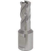 Sealey Rotabor Weldon Shank HSS Mag Drill Cutter 16mm 25mm Sealey Rotabor Weldon Shank HSS Mag Drill Cutter 16mm 25mm