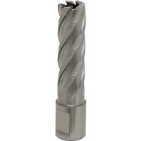 Sealey Rotabor Weldon Shank HSS Mag Drill Cutter 17mm 50mm Sealey Rotabor Weldon Shank HSS Mag Drill Cutter 17mm 50mm