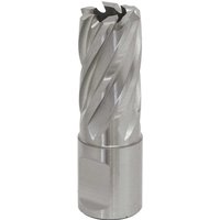 Sealey Rotabor Weldon Shank HSS Mag Drill Cutter 17mm 25mm Sealey Rotabor Weldon Shank HSS Mag Drill Cutter 17mm 25mm