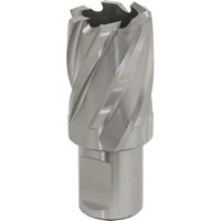 Sealey Rotabor Weldon Shank HSS Mag Drill Cutter 25mm 25mm Sealey Rotabor Weldon Shank HSS Mag Drill Cutter 25mm 25mm