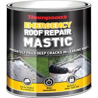 Thompsons Emergency Roof Repair Mastic