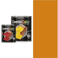 CombiColor Metal Protection Paint Orange