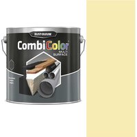 Satin Multi Surface Paint